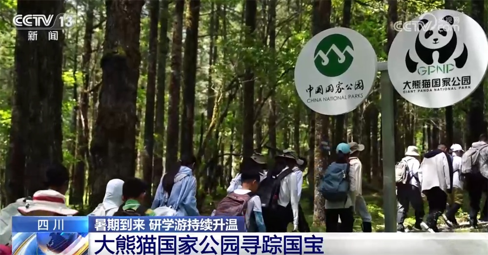 探秘雨林、寻踪国宝、见证奇迹……研学游持续升温点亮“暑期经济” 探秘雨林、寻踪国宝、见证奇迹……研学游持续升温点亮“暑期经济”