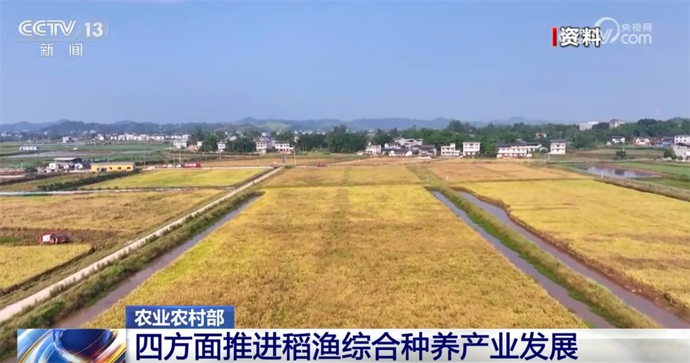 稻渔综合种养、深远海养殖 新产业、新模式打开富民增收“新路径”