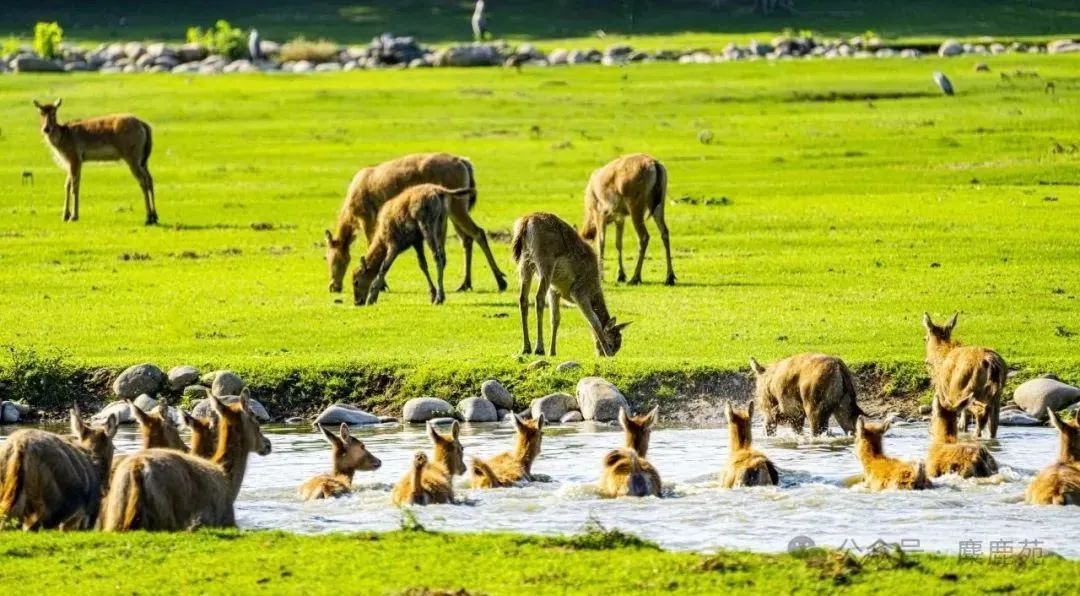 北京多家博物馆暑期错峰延时开放，快带孩子去打卡
