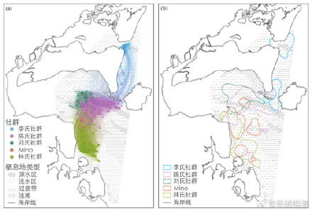 雷州湾中华白海豚种群添丁！一年诞生12头幼崽