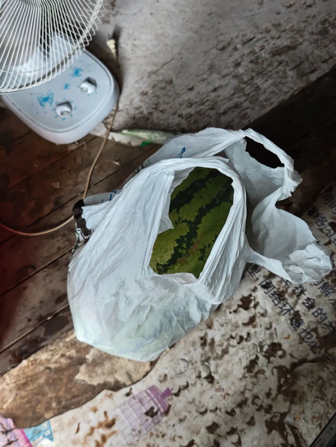 “河南人是乐于助人的、有人情的”女大学生给他们写了一封信