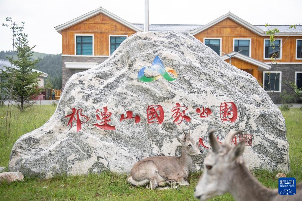 活力中国调研行丨探访祁连山国家公园野生动物救护繁育站