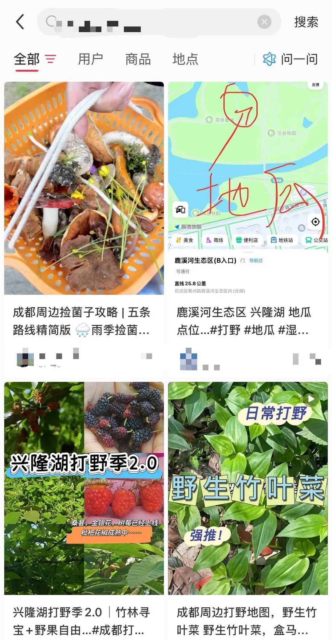 三伏“打野”！成都“鸡枞菌”“野地瓜”地图火了，专家提醒