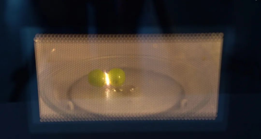 微波炉你用对了吗？小心炸厨房！