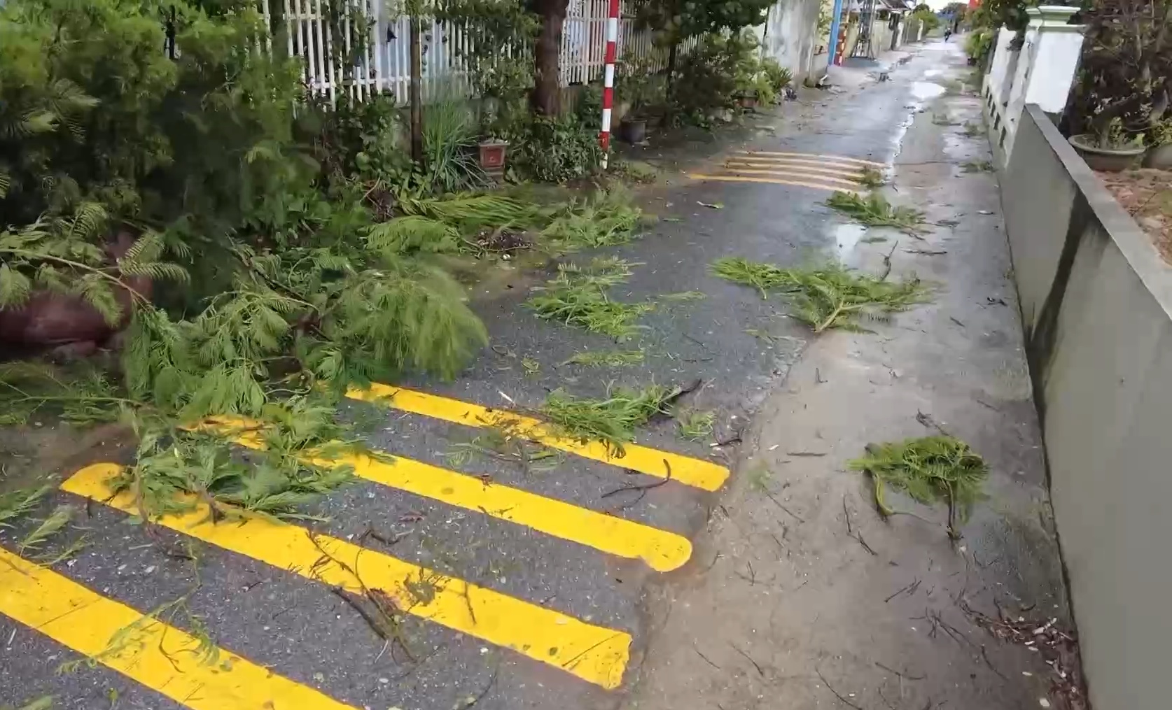 台风“韦帕”已在越南造成3人死亡8人受伤
