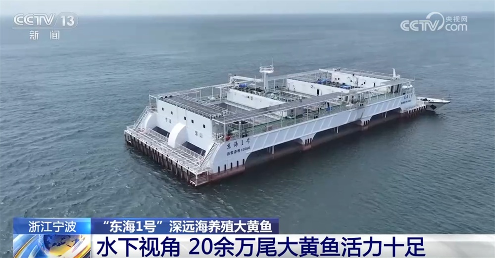 稻渔综合种养、深远海养殖 新产业、新模式打开富民增收“新路径”