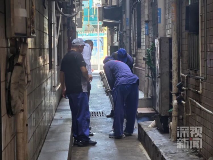 基孔肯雅热，这些症状要警惕！深圳防疫部门提醒