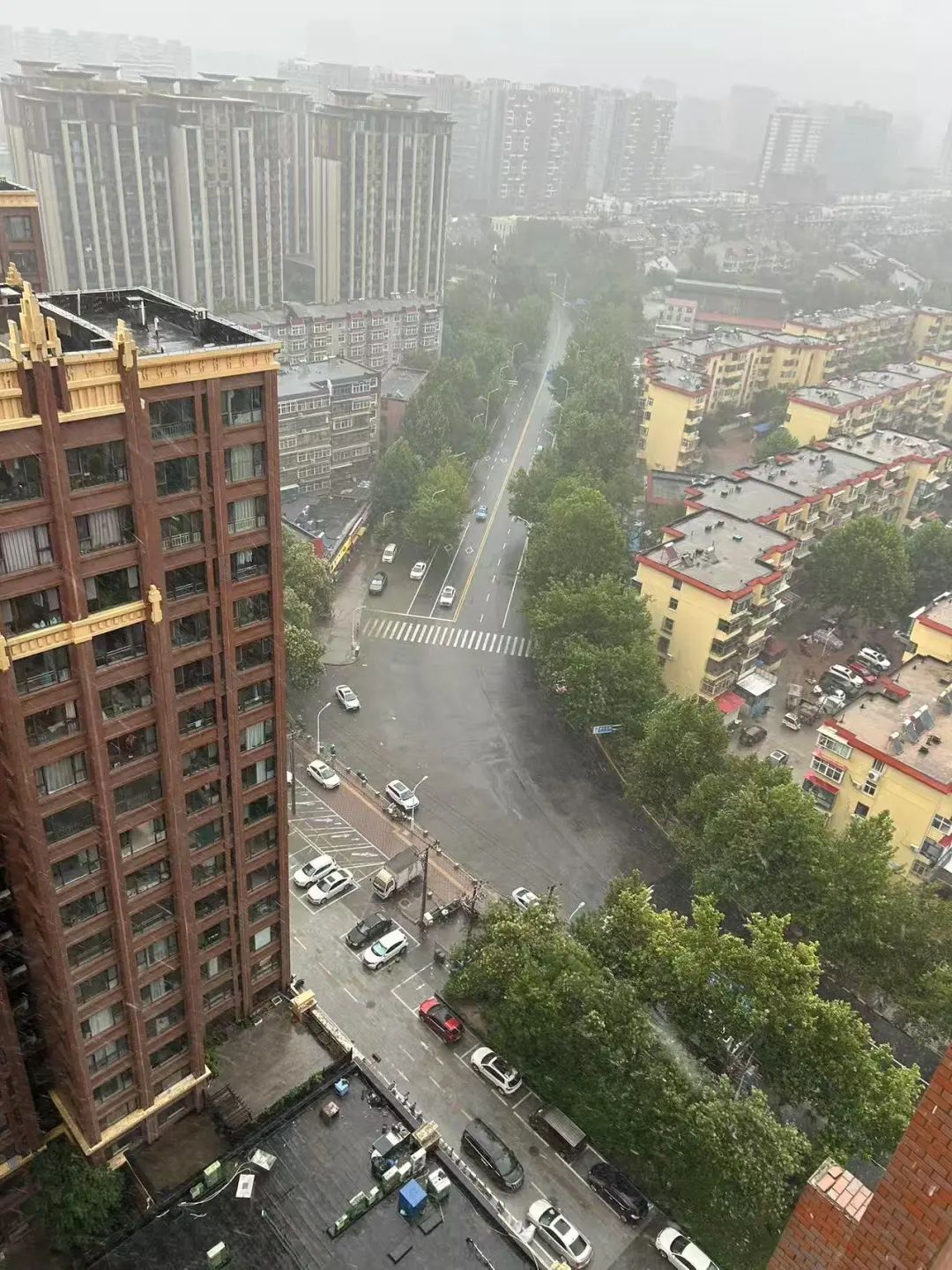 石家庄下雨了！今明两天，河北多地有大雨到暴雨，局地大暴雨→
