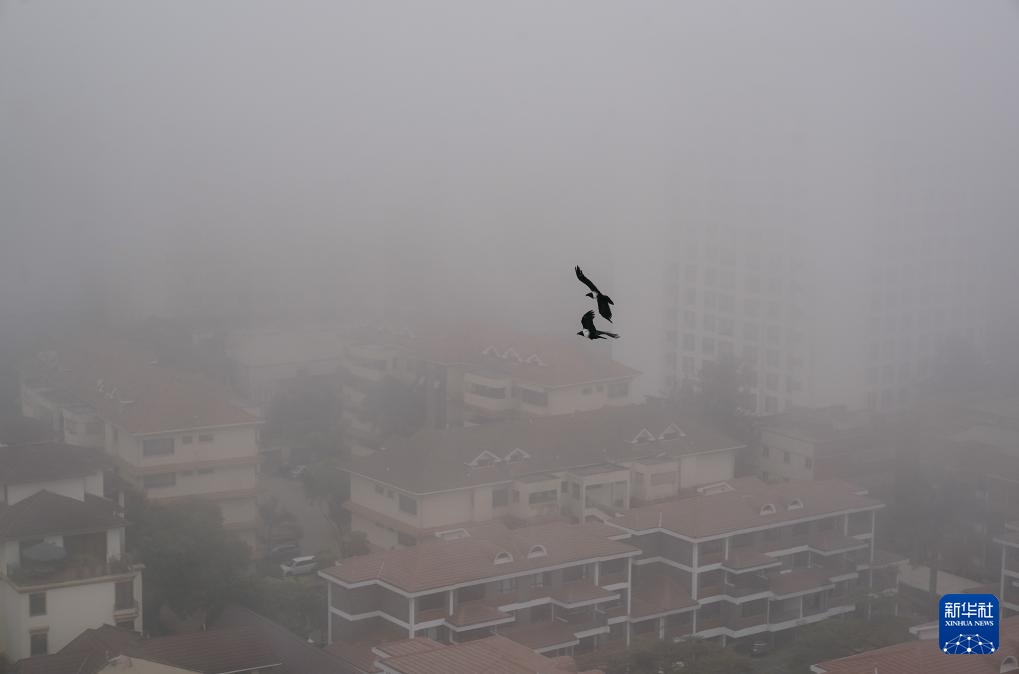 肯尼亚内罗毕遭遇大雾天气 肯尼亚内罗毕遭遇大雾天气