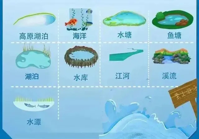 会游泳≠不溺水!世界预防溺水日,教会孩子防溺“真功夫” 会游泳≠不溺水!世界预防溺水日,教会孩子防溺“真功夫”