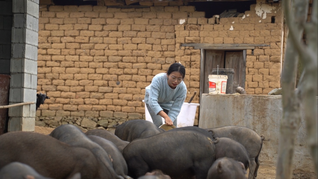 他们结婚了!0彩礼,全网祝福! 他们结婚了!0彩礼,全网祝福!