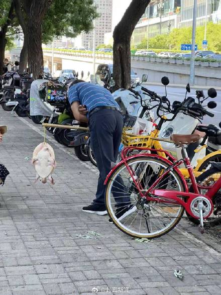 不建议食用更不能放生！街头挑卖的鳖别随便买