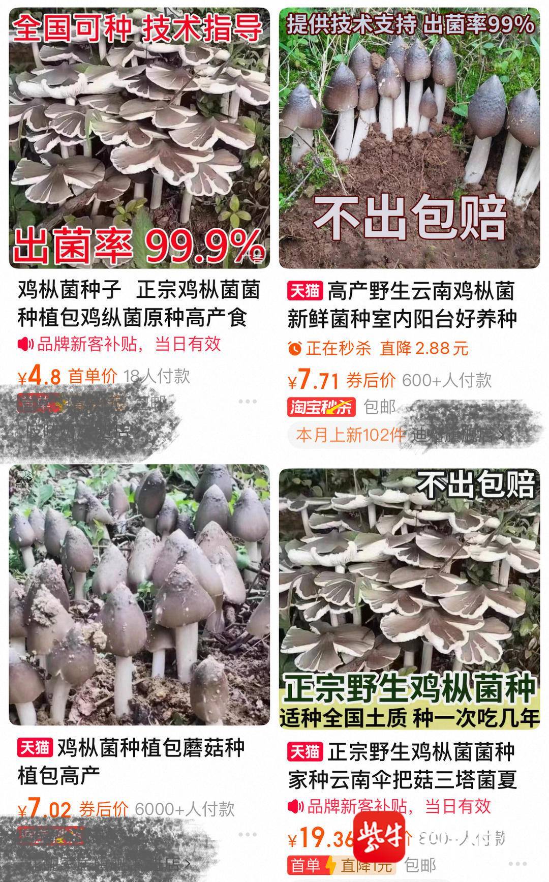 网购9元鸡枞菌种子竟种出毒蘑菇 六旬夫妻中毒住院