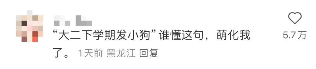 “大几发小狗？”“好像是大二下学期！”