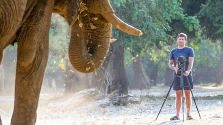 富豪CEO被大象踩踏身亡