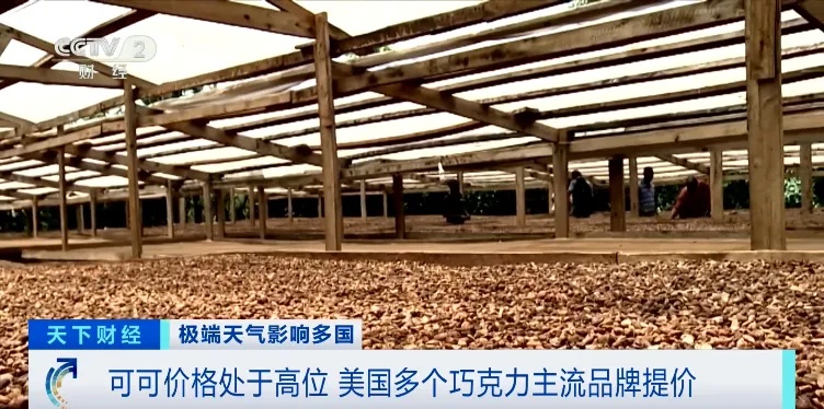 价格飙涨121%！三大巨头集体宣布涨价