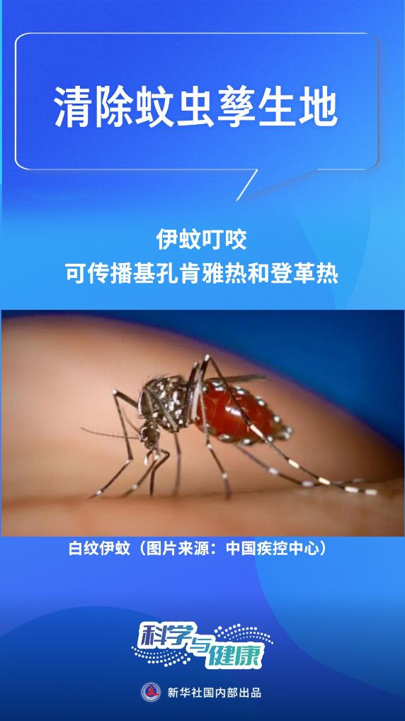 清积水，灭蚊虫！基孔肯雅热这样防