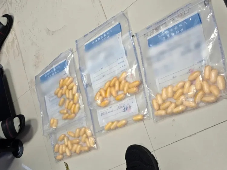 广州白云机场查获人体藏毒大案