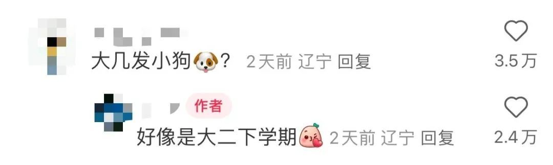 “大几发小狗？”“好像是大二下学期！”