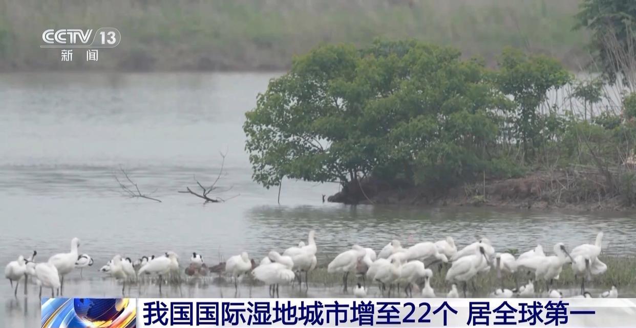 我国国际湿地城市增至22个 湿地面积稳定在5635万公顷以上