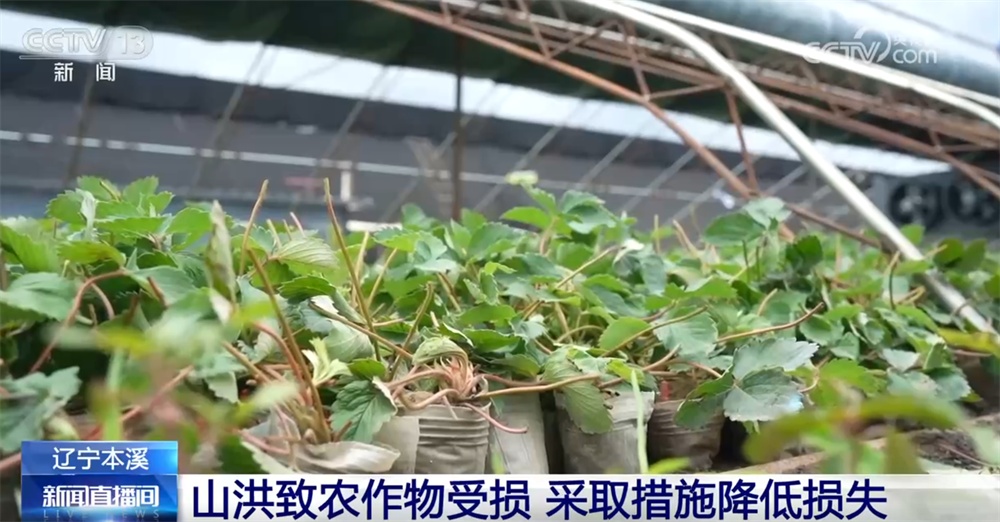 保交通、保安全、保财产 多地以“雨”为令、闻“汛”而动全力应对强降雨天气 保交通、保安全、保财产 多地以“雨”为令、闻“汛”而动全力应对强降雨天气