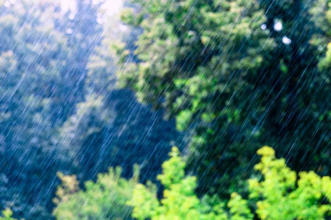 双台风预警！大雨、降温！影响江苏