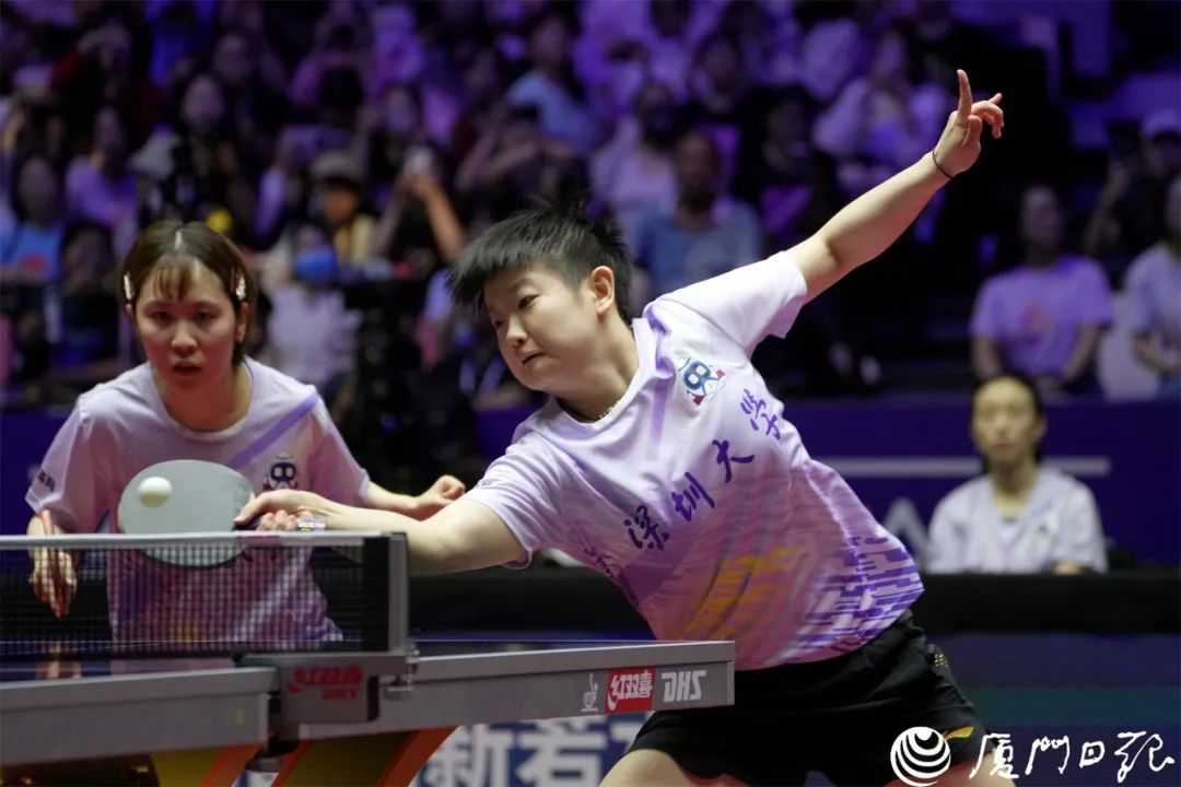 樊振东3:0林诗栋！王楚钦领衔全队亮相，今天下午孙颖莎对阵王曼昱