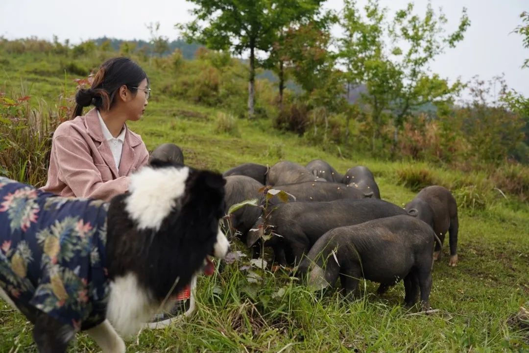 他们结婚了!0彩礼,全网祝福! 他们结婚了!0彩礼,全网祝福!