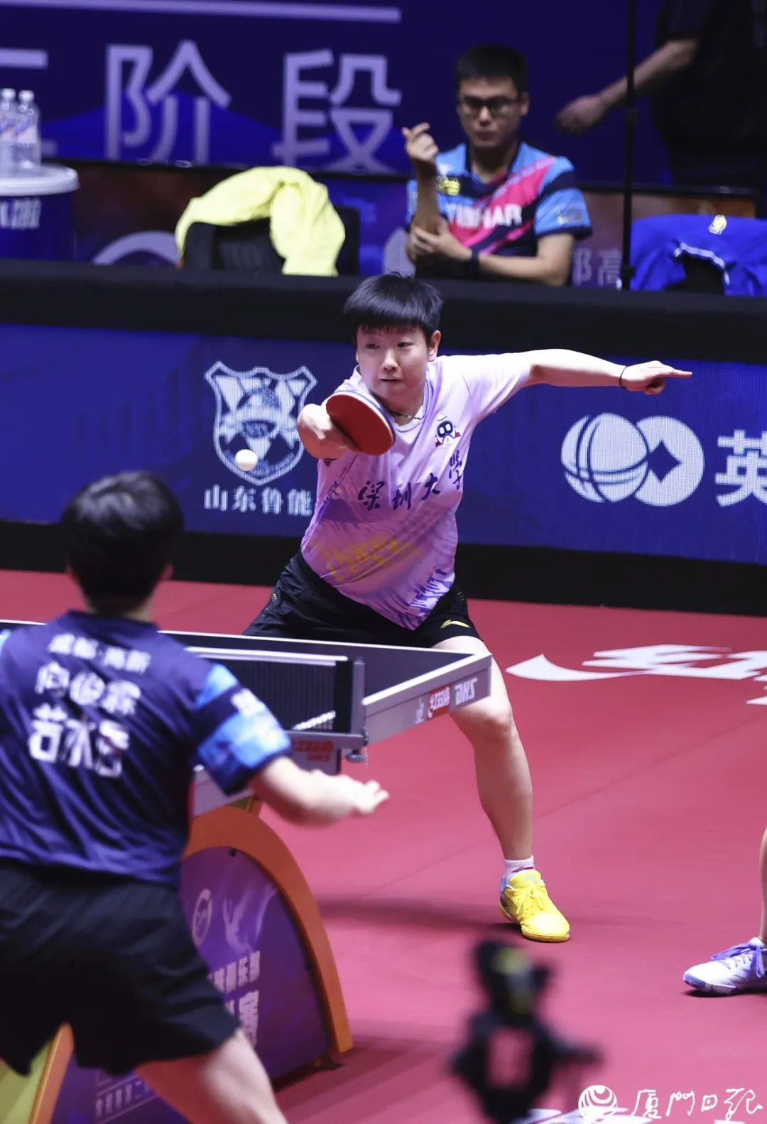 樊振东3:0林诗栋！王楚钦领衔全队亮相，今天下午孙颖莎对阵王曼昱