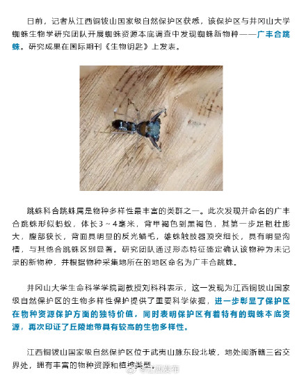 江西发现一蜘蛛新物种！