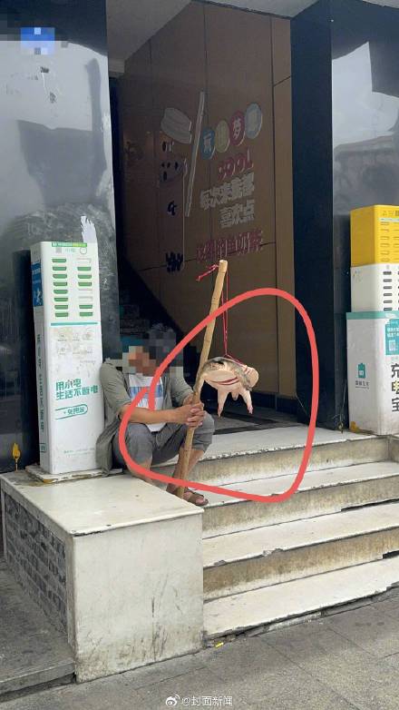 不建议食用更不能放生！街头挑卖的鳖别随便买