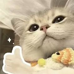 “建议大家都去频繁大量地记录生活,回头看真的很有意义!” “建议大家都去频繁大量地记录生活,回头看真的很有意义!”