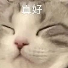 “建议大家都去频繁大量地记录生活,回头看真的很有意义!” “建议大家都去频繁大量地记录生活,回头看真的很有意义!”