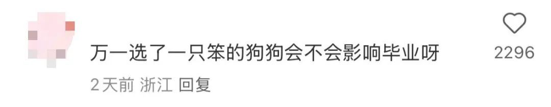 “大几发小狗？”“好像是大二下学期！”