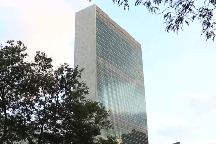 安理会将就泰国柬埔寨局势举行紧急会议