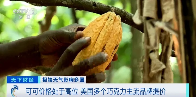 价格飙涨121%！三大巨头集体宣布涨价