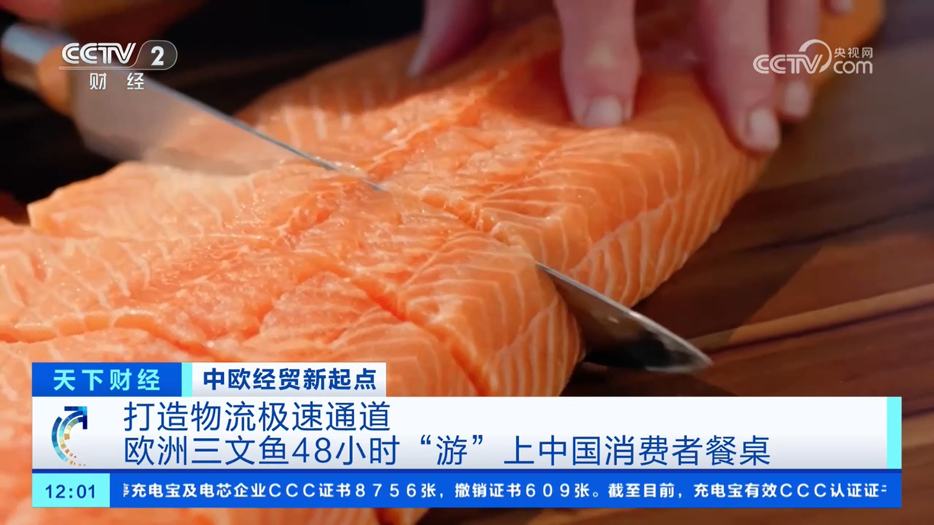 打造物流极速通道 欧洲三文鱼48小时“游”上中国消费者餐桌 打造物流极速通道 欧洲三文鱼48小时“游”上中国消费者餐桌