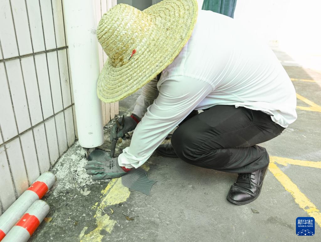 广东佛山：多措并举应对基孔肯雅热输入疫情