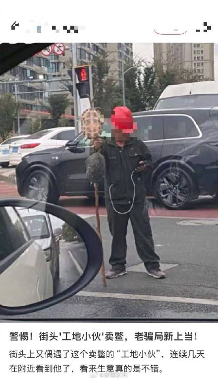 不建议食用更不能放生！街头挑卖的鳖别随便买