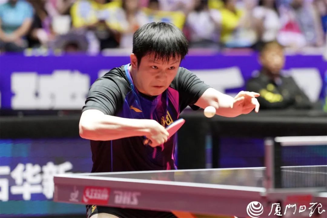 樊振东3:0林诗栋！王楚钦领衔全队亮相，今天下午孙颖莎对阵王曼昱