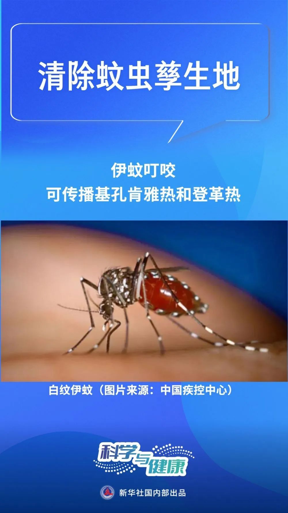 基孔肯雅热,这样防→ 基孔肯雅热,这样防→