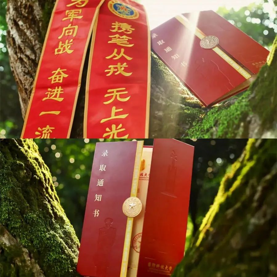 硬核！谁家录取通知书可以“切西瓜”啊