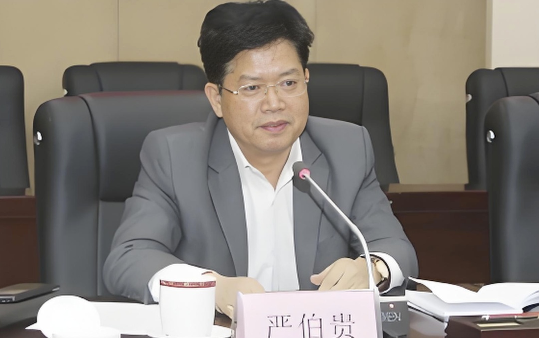 严重违纪违法！严伯贵被开除党籍、黄炳利被“双开”