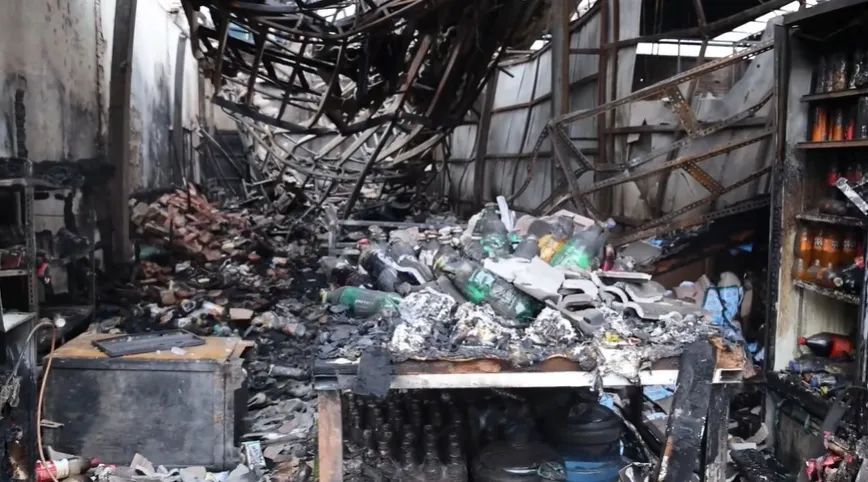 听劝！一次搬家，救了3条命！