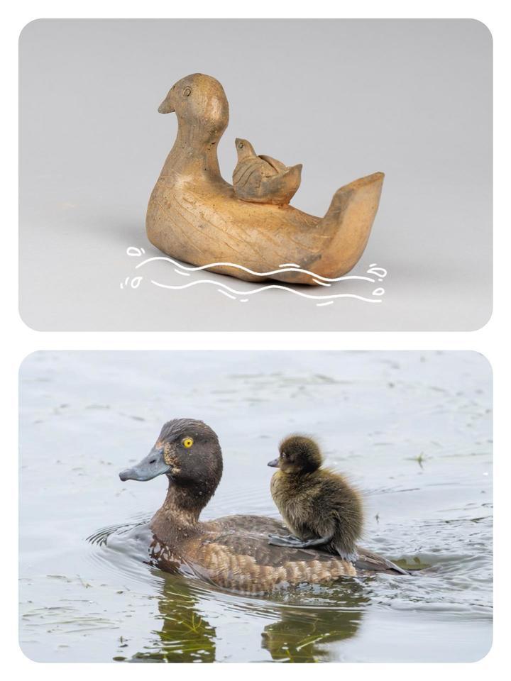 门~前~大桥下，游过一只……不，是两只！