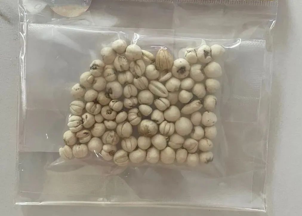 一点点就要500元！家长尴尬：孩子一口都不肯吃……