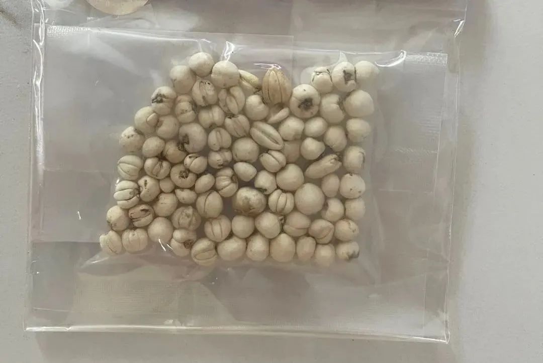 7500元一斤！有人傻眼，居然这么贵？家长：买回来孩子一口都不肯吃……