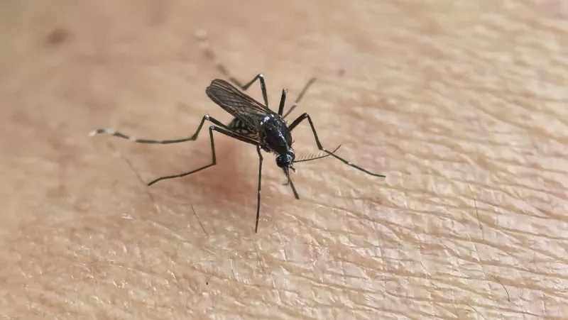 广东确诊超3600例！四川疾控最新提醒