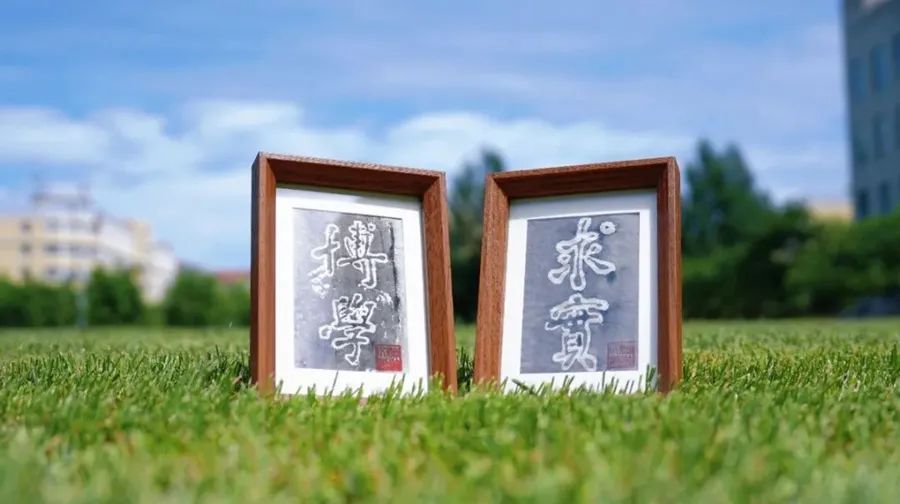 硬核！谁家录取通知书可以“切西瓜”啊