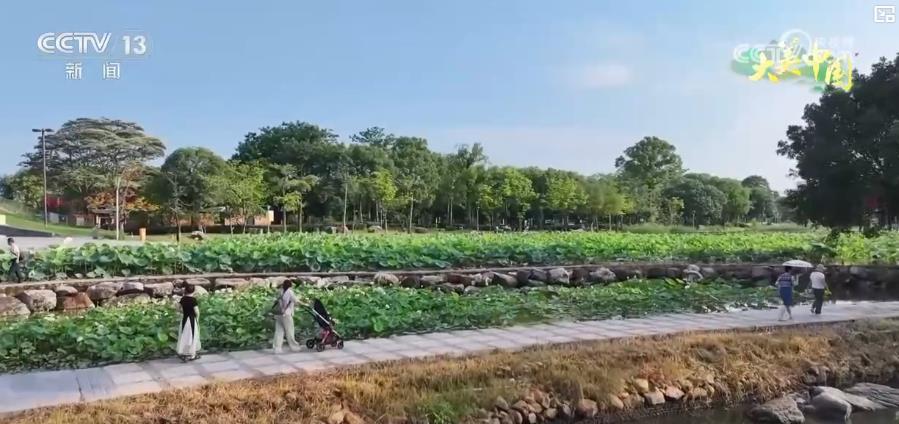 昔日“臭水沟”变“幸福河” 城市内河治理成效显著